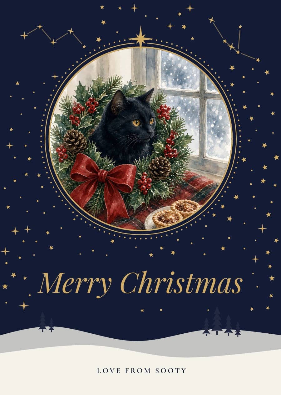 A starry navy card with a watercolour black cat peeking through a holly wreath