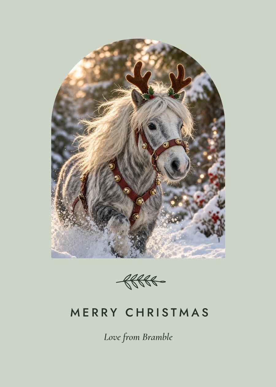 A calm sage card with a grey Shetland pony in reindeer antlers running through snow